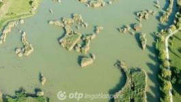 Eladó lakóövezeti telek Hajdúszoboszló