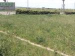 Eladó üdülő terület Bük