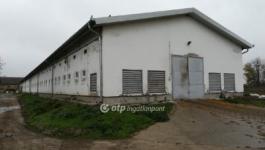 Eladó általános mezőgazdasági ingatlan Mezőhegyes