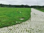Eladó lakóövezeti telek Debrecen