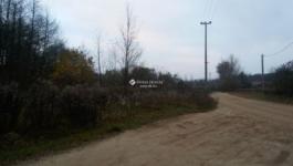 Eladó külterületi telek Domony