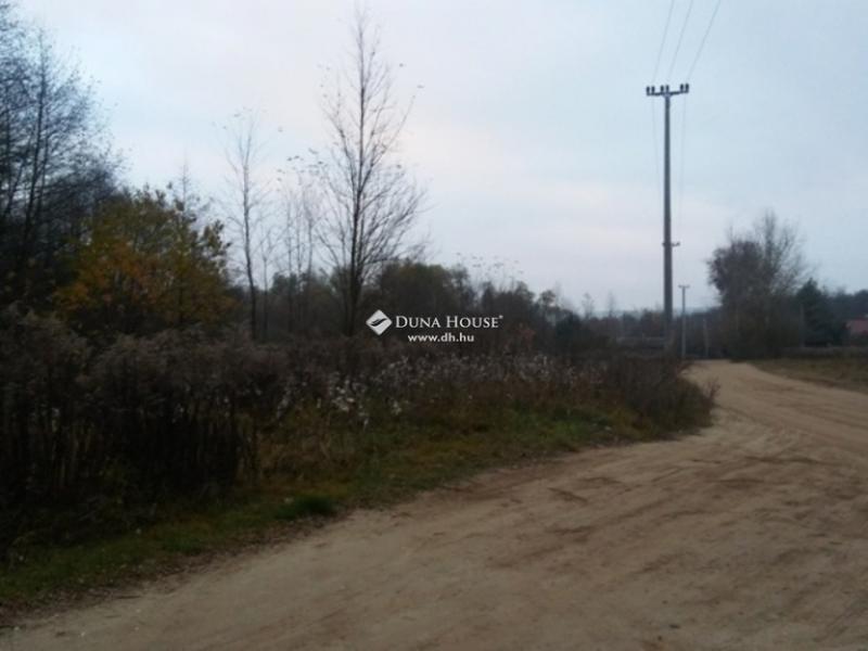 Eladó külterületi telek Domony