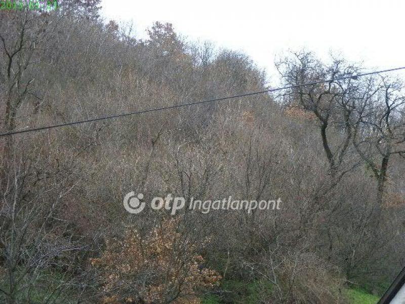 Eladó egyéb telek Pécs