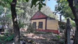 Eladó mezőgazdasági Csongrád