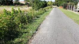 Eladó lakóövezeti telek Vitnyéd