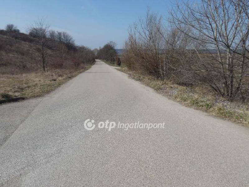 Eladó lakóövezeti telek Budajenő