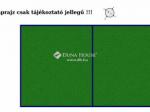 Eladó egyéb ipari ingatlan Vecsés