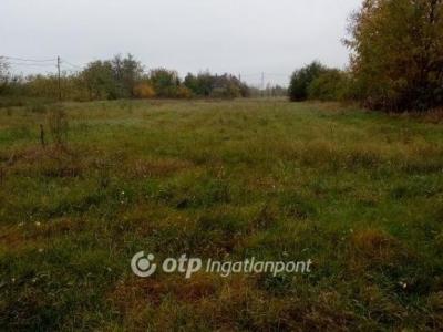 Eladó lakóövezeti telek Tiszanána