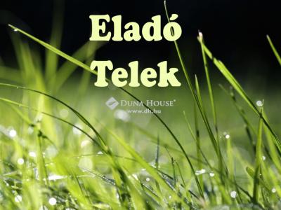 Eladó lakóövezeti telek Nagyhalász
