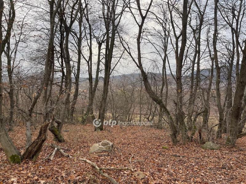 Eladó nyaraló Budapest