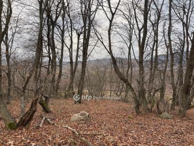 Eladó nyaraló Budapest