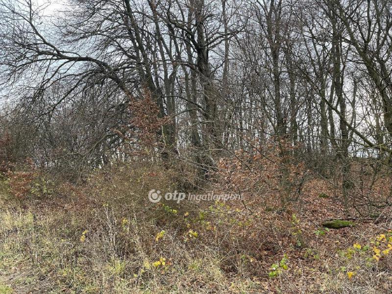 Eladó nyaraló Budapest