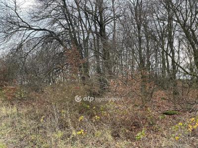 Eladó nyaraló Budapest