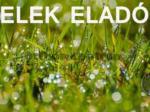 Eladó lakóövezeti telek Balatonszárszó