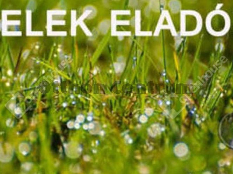 Eladó lakóövezeti telek Balatonszárszó