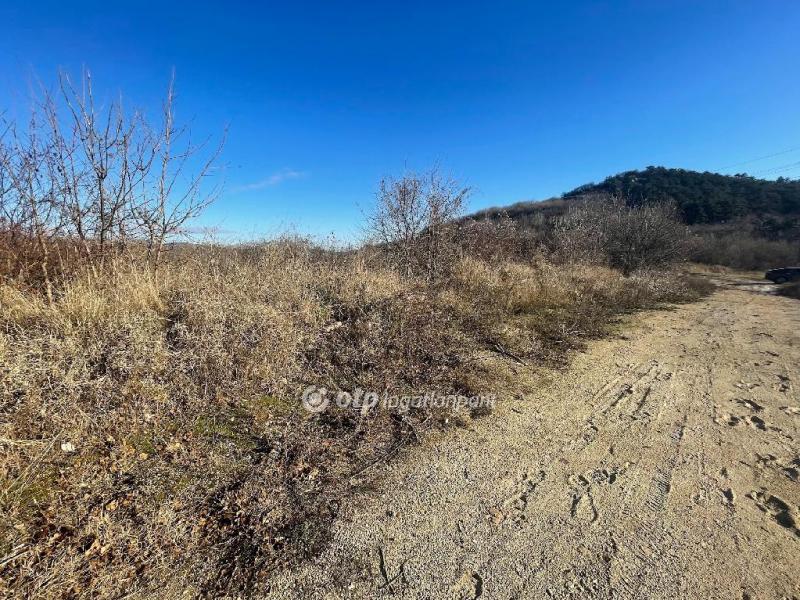 Eladó nyaraló Budapest