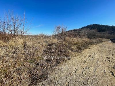 Eladó nyaraló Budapest