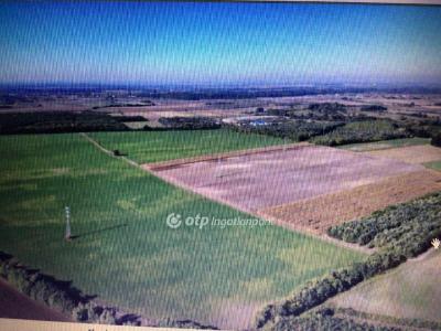 Eladó egyéb telek Dabas