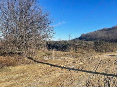 Eladó nyaraló Solymár