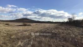 Eladó nyaraló Vác