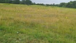 Eladó lakóövezeti telek Őrbottyán