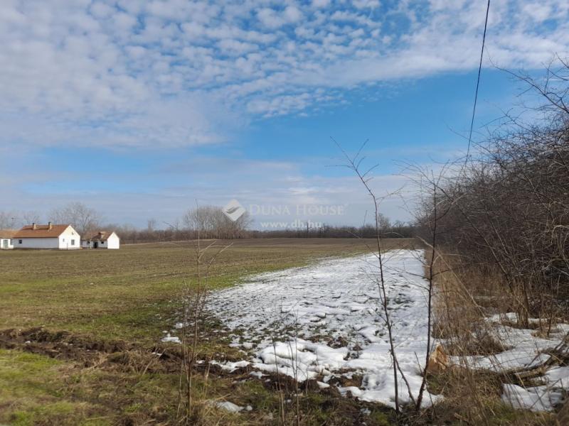 Eladó külterületi telek Debrecen