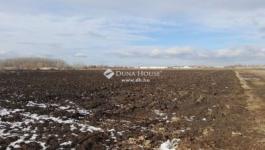 Eladó külterületi telek Debrecen