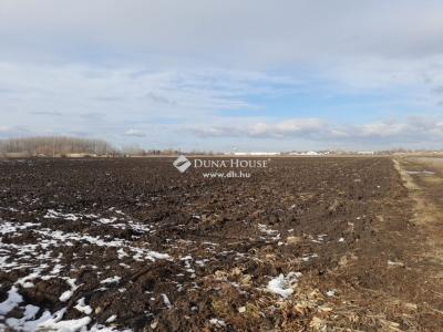 Eladó külterületi telek Debrecen