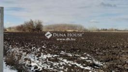 Eladó külterületi telek Debrecen