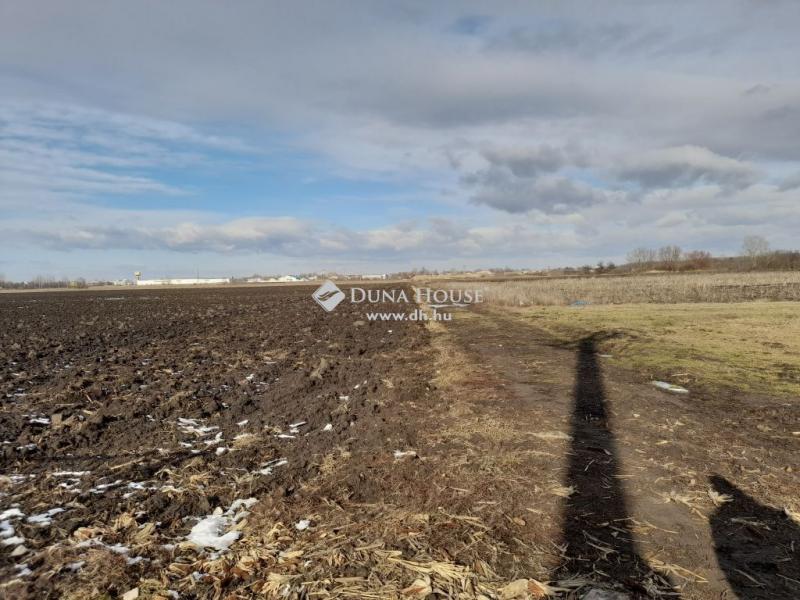 Eladó külterületi telek Debrecen