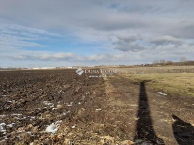 Eladó külterületi telek Debrecen