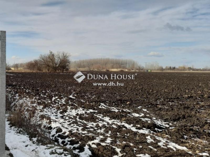 Eladó külterületi telek Debrecen