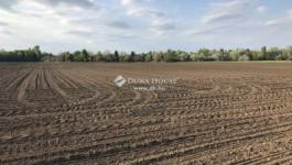 Eladó külterületi telek Gárdony