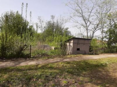 Eladó telek Csanytelek