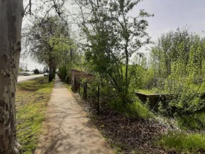 Eladó telek Csanytelek