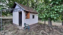 Eladó mezőgazdasági Csongrád