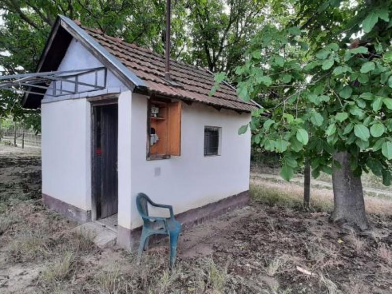Eladó mezőgazdasági Csongrád