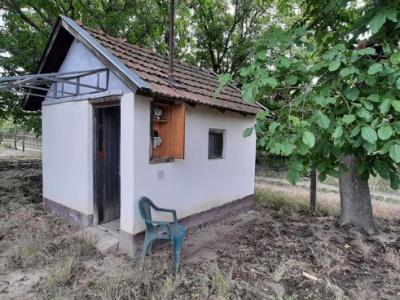 Eladó mezőgazdasági Csongrád