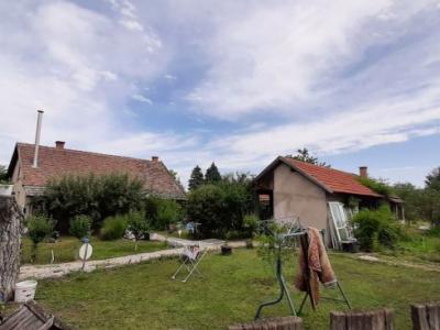Eladó mezőgazdasági Csongrád