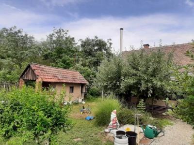 Eladó mezőgazdasági Csongrád