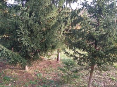 Eladó lakóövezeti telek - 8200 Veszprém