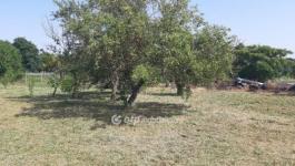 Eladó lakóövezeti telek Ádánd