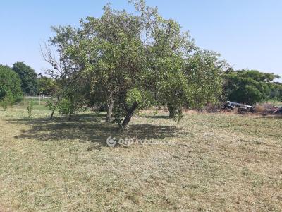 Eladó lakóövezeti telek Ádánd