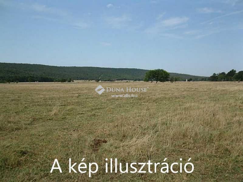 Eladó üdülőövezeti telek Tószeg