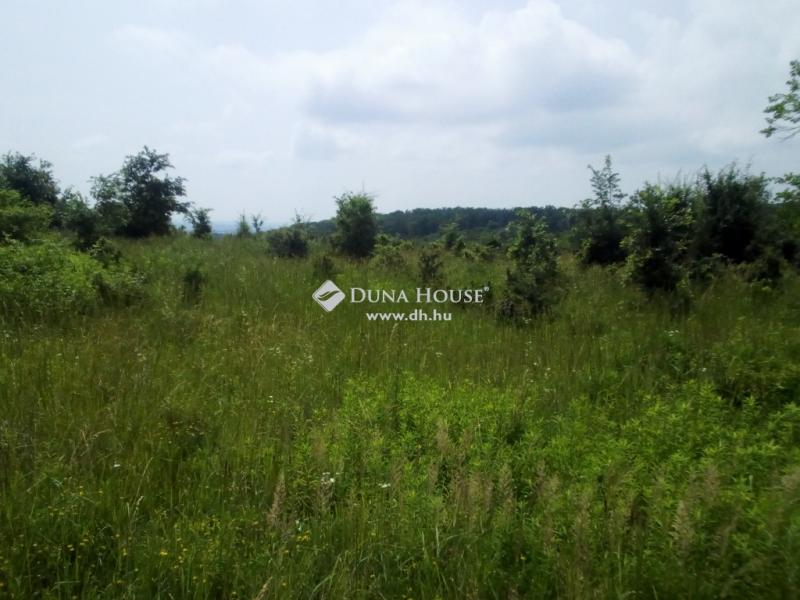 Eladó külterületi telek Komló