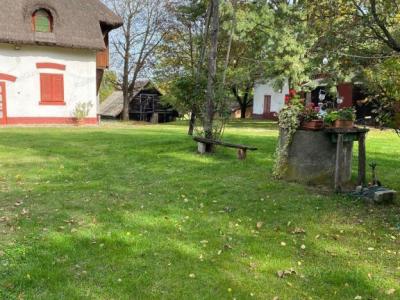 Eladó tanya Lajosmizse