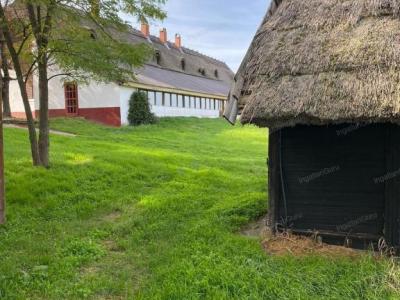 Eladó tanya Lajosmizse