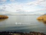 Eladó nyaraló Balatonfenyves
