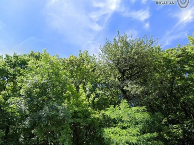 Eladó lakóövezeti telek Budakeszi
