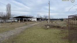 Eladó lakóövezeti telek Dabas